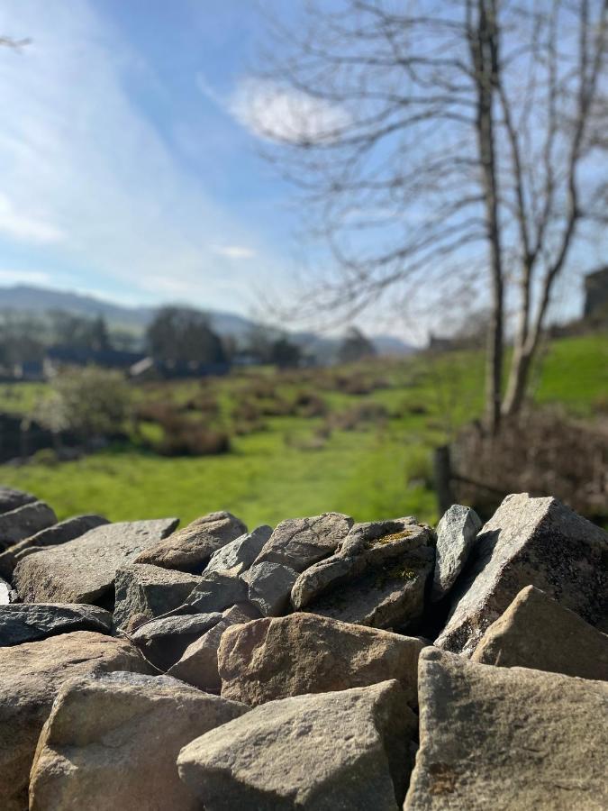 Trawsfynydd Stone Cottage Eksteriør bilde